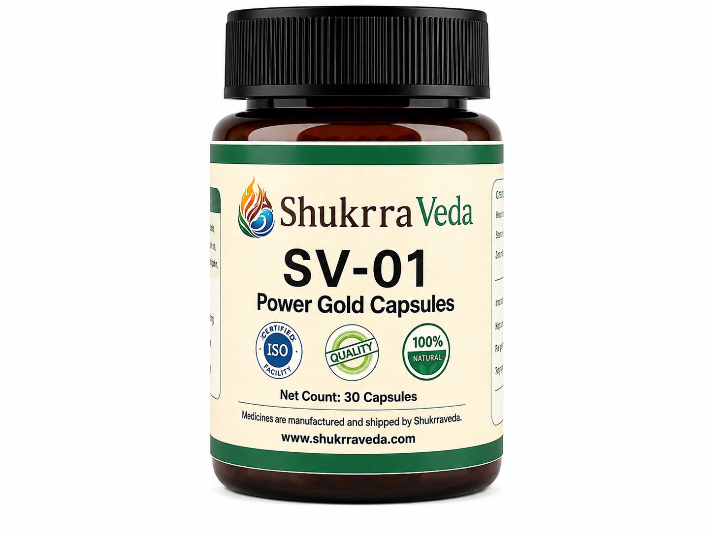 SV-01 Performance